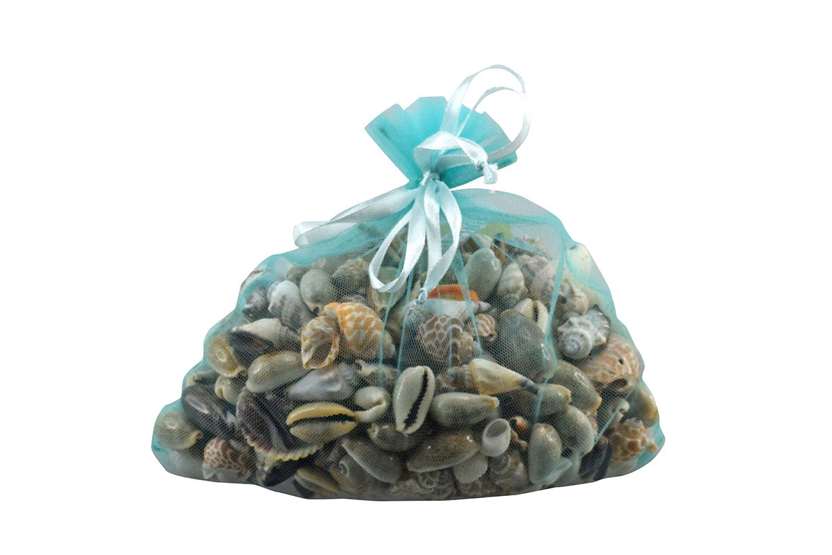 Muscheln - 500g Forchtenberger Puzzle & Spiele BLS GmbH, Kopernikusstraße 1, 74670 Forchtenberg; Kontakt: mail@bls.de