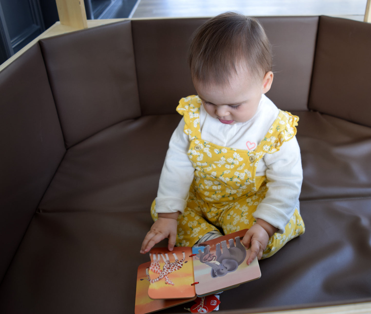 Tier-Familien Buch Classic World International Holdings Limited, 383 HENNESSY ROAD, 999077 Hongkong