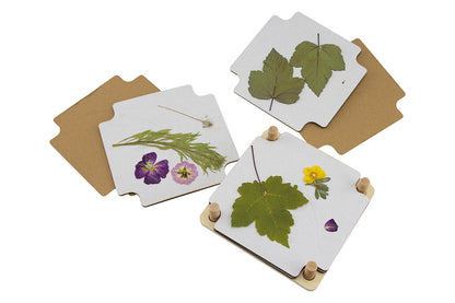 Blumenpresse - Klein Avantgarde BLS GmbH, Kopernikusstraße 1, 74670 Forchtenberg; Kontakt: mail@bls.de