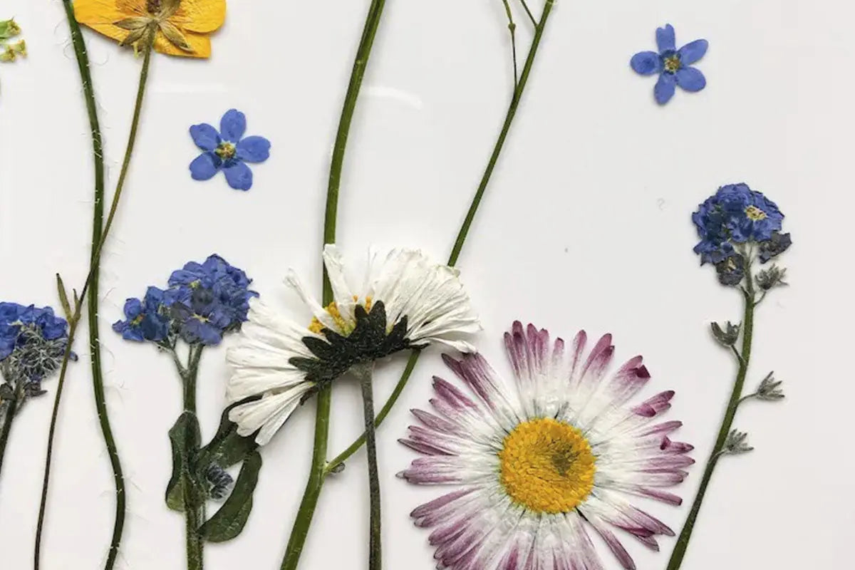 Blumenpresse - Klein - CHiLA ...einfach gutes Spielzeug!