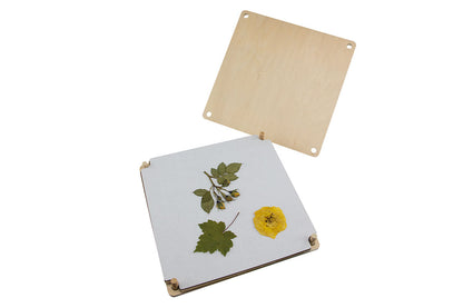 Blumenpresse - Groß Avantgarde BLS GmbH, Kopernikusstraße 1, 74670 Forchtenberg; Kontakt: mail@bls.de