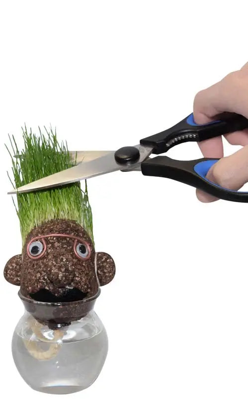 Der Grüne - Set 24 - CHiLA ...einfach gutes Spielzeug!