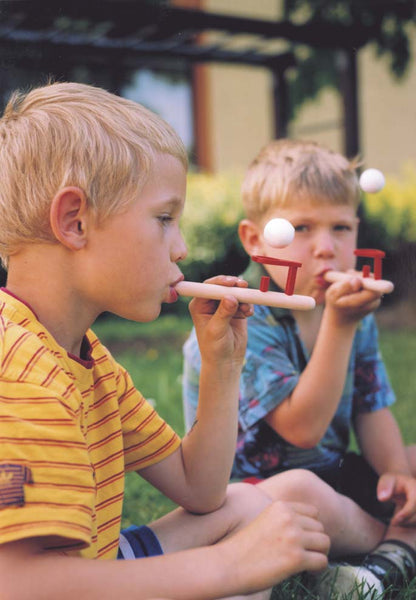 Blasidedulum - einzeln Forchtenberger Puzzle & Spiele BLS GmbH, Kopernikusstraße 1, 74670 Forchtenberg; Kontakt: mail@bls.de