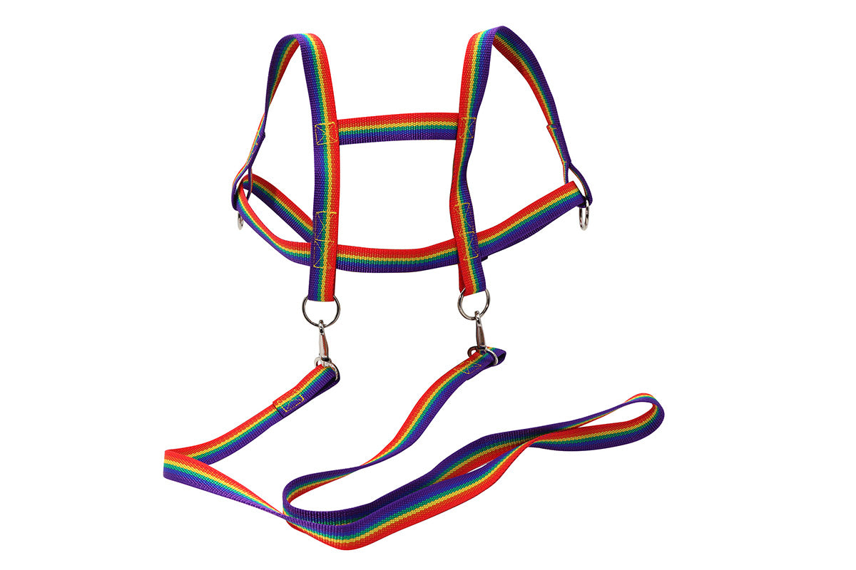 Zügelmatz Laufleine Regenbogen