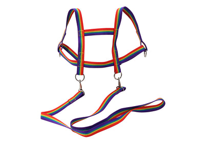 Zügelmatz Laufleine Regenbogen