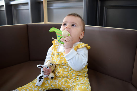 Doggy Classic World International Holdings Limited, 383 HENNESSY ROAD, 999077 Hongkong