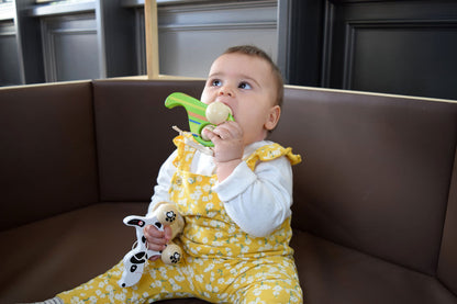 Kleiner Heli Classic World International Holdings Limited, 383 HENNESSY ROAD, 999077 Hongkong