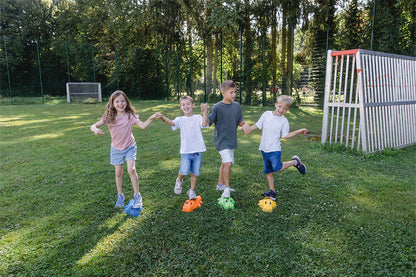 KrokoSteps - Ensemble 6