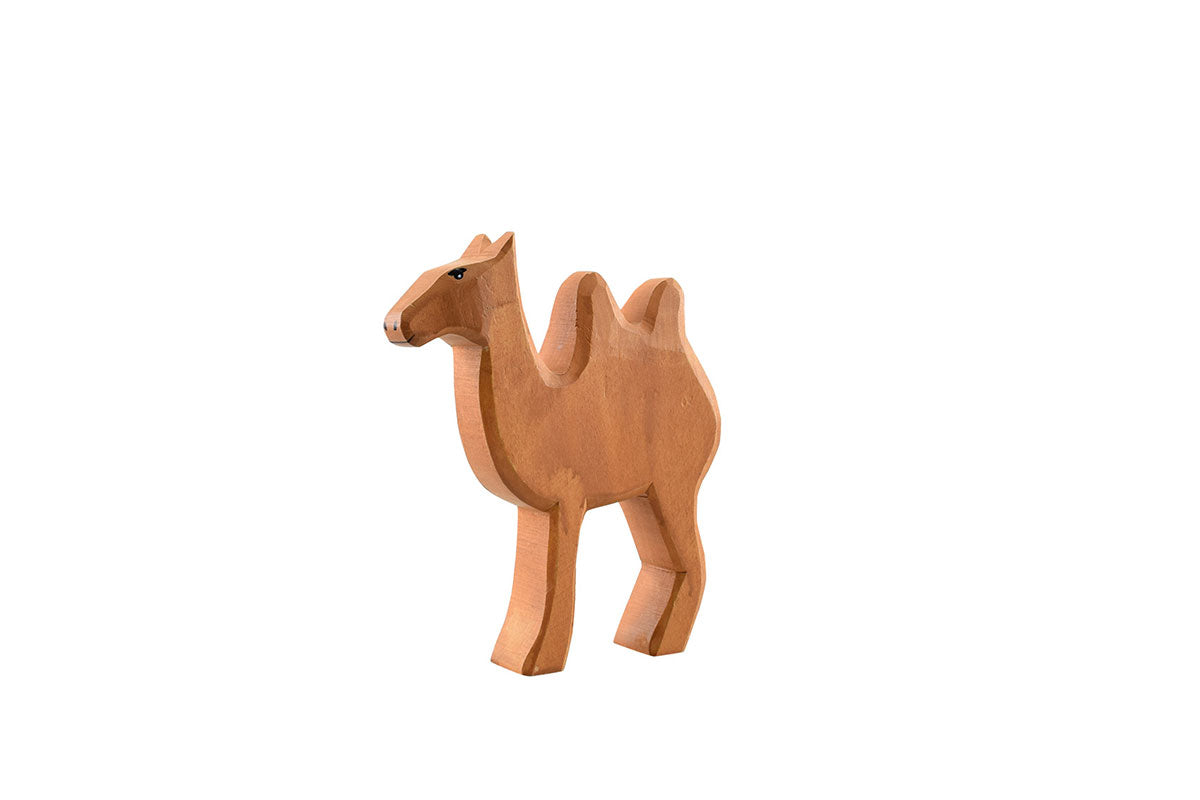 grand chameau Wülfinger