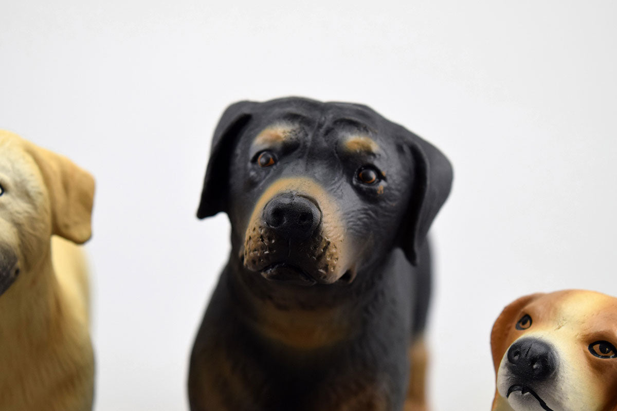 GOWI - Hunde - Set 5