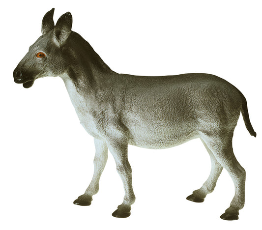 Animaux de la ferme - Ensemble 3