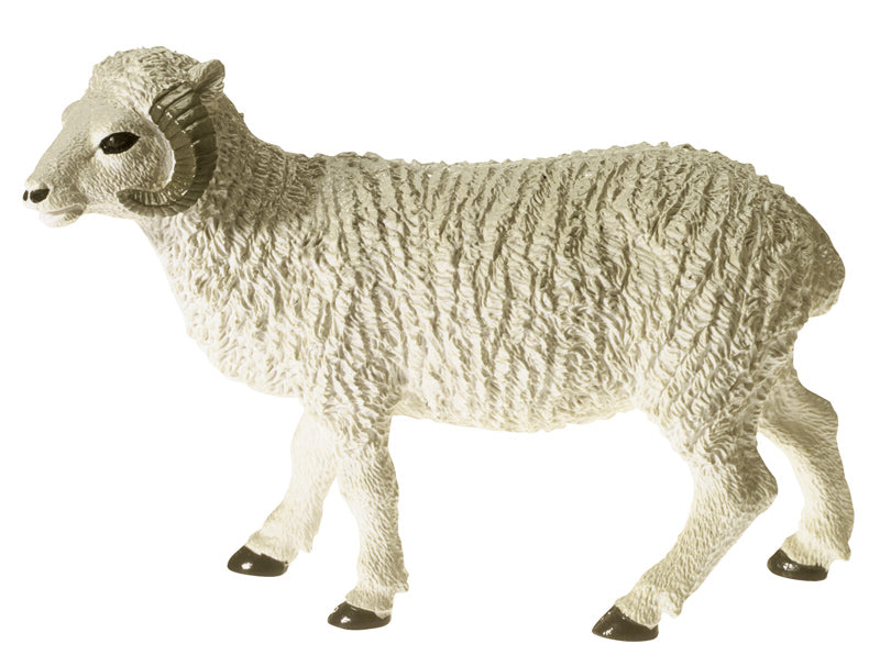 Animaux de la ferme - Ensemble 3