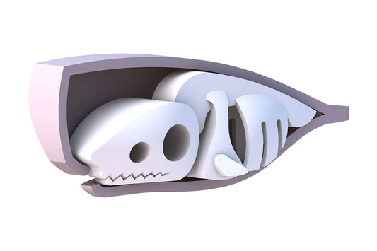 Halftoys - Pottwal daVinci BLS GmbH, Kopernikusstraße 1, 74670 Forchtenberg; Kontakt: mail@bls.de