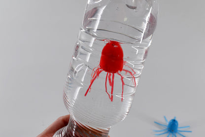 Magic Jelly Fish daVinci BLS GmbH, Kopernikusstraße 1, 74670 Forchtenberg; Kontakt: mail@bls.de