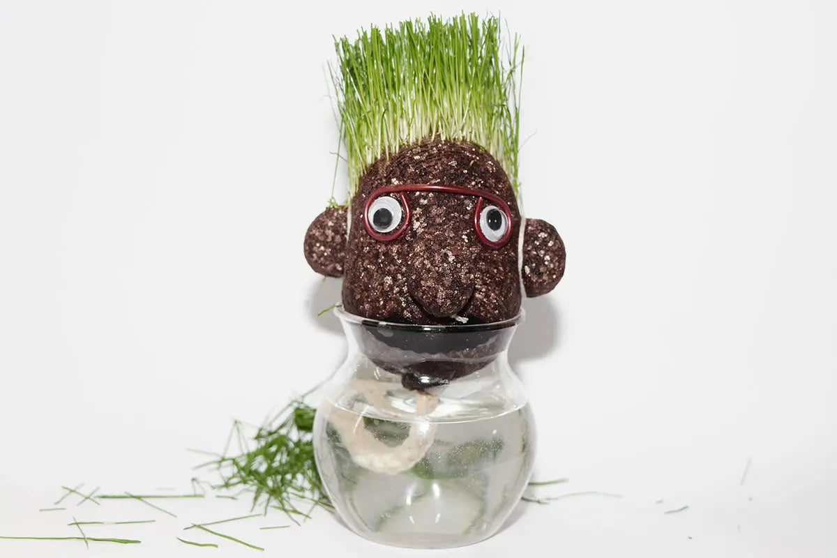 Der Grüne - Wachsende Glaskopf - CHiLA ...einfach gutes Spielzeug!