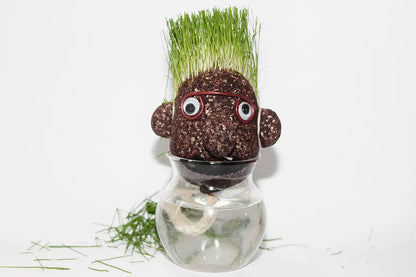 Der Grüne - Wachsende Glaskopf - CHiLA ...einfach gutes Spielzeug!