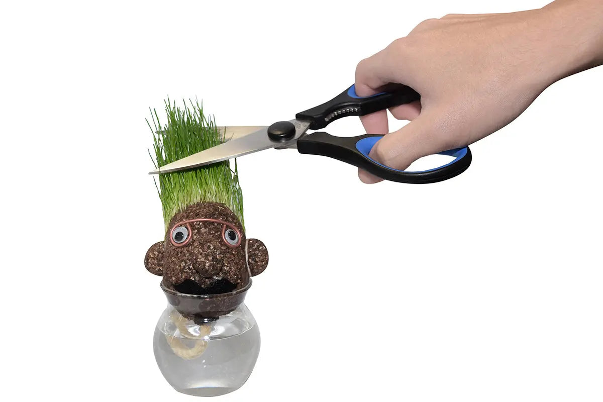 Der Grüne - Wachsende Glaskopf - CHiLA ...einfach gutes Spielzeug!