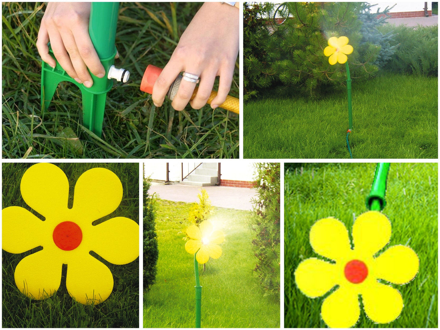 Flower Power - Set 2 SportFit, BLS GmbH, Kopernikusstraße 1, 74670 Forchtenberg, mail@bls.net