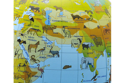 Riesenglobus - Ø 50 cm SportFit, BLS GmbH, Kopernikusstraße 1, 74670 Forchtenberg, mail@bls.net