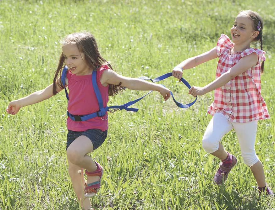 Pferdeleine - Blau SportFit, BLS GmbH, Kopernikusstraße 1, 74670 Forchtenberg, mail@bls.net