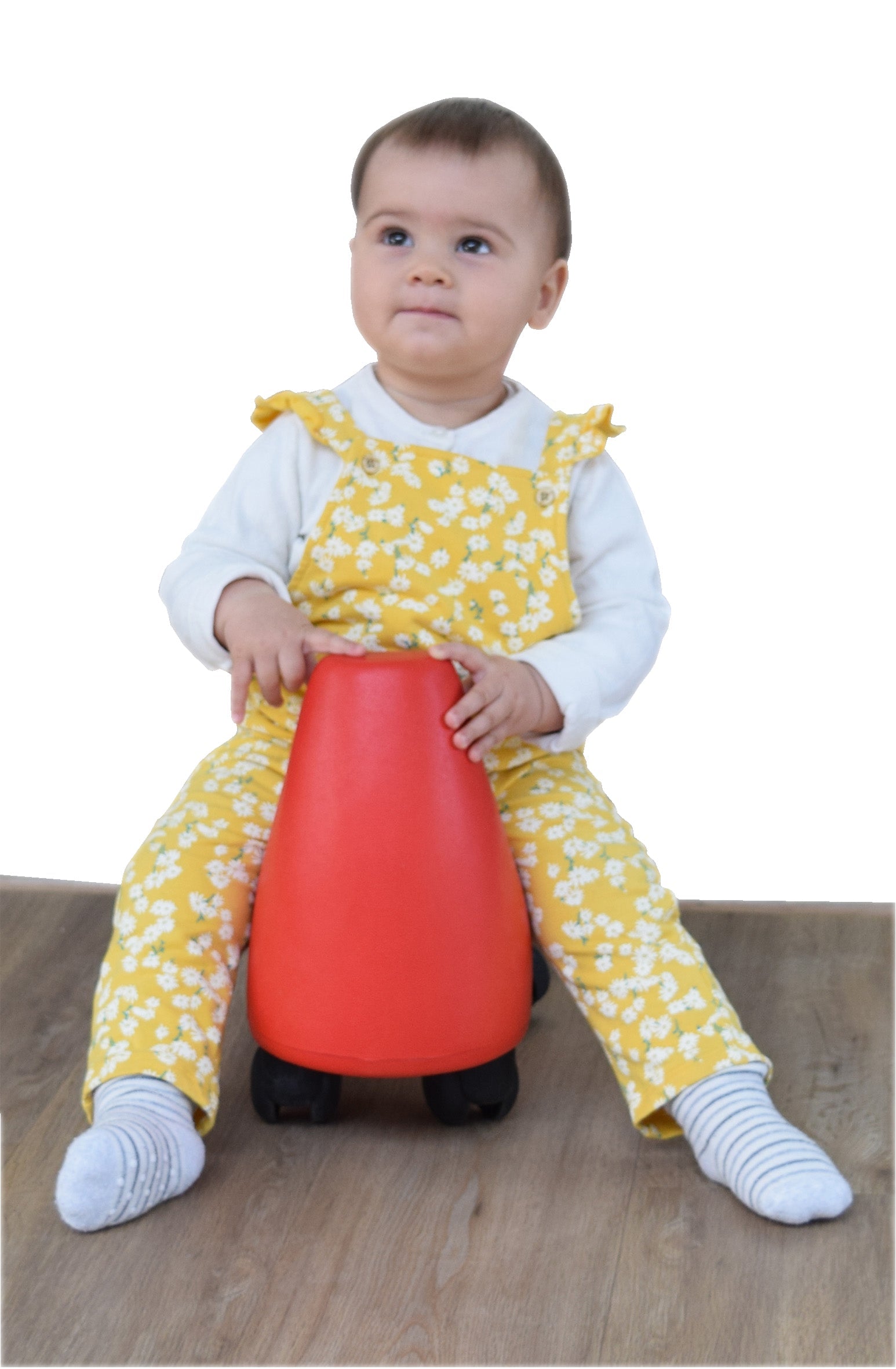 EVO Bogenroller - Rot SportFit, BLS GmbH, Kopernikusstraße 1, 74670 Forchtenberg, mail@bls.net