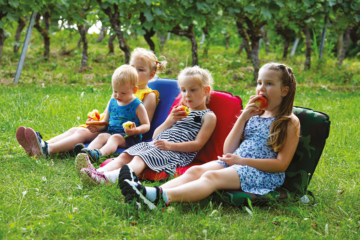 GOWI - Enjoy Seat - Blau GOWI® GOWI GmbH, Wertheimweg 12, 8630 Mariazell, Österreich; office@gowi.at